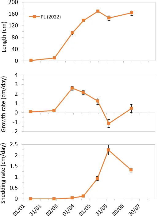 Fig 1. Growth rate and shedding rate (cm/day) at one of the seaweed farm sites.