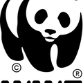 WWF logo, partner on PEBL seaweed farm monitoring projects
