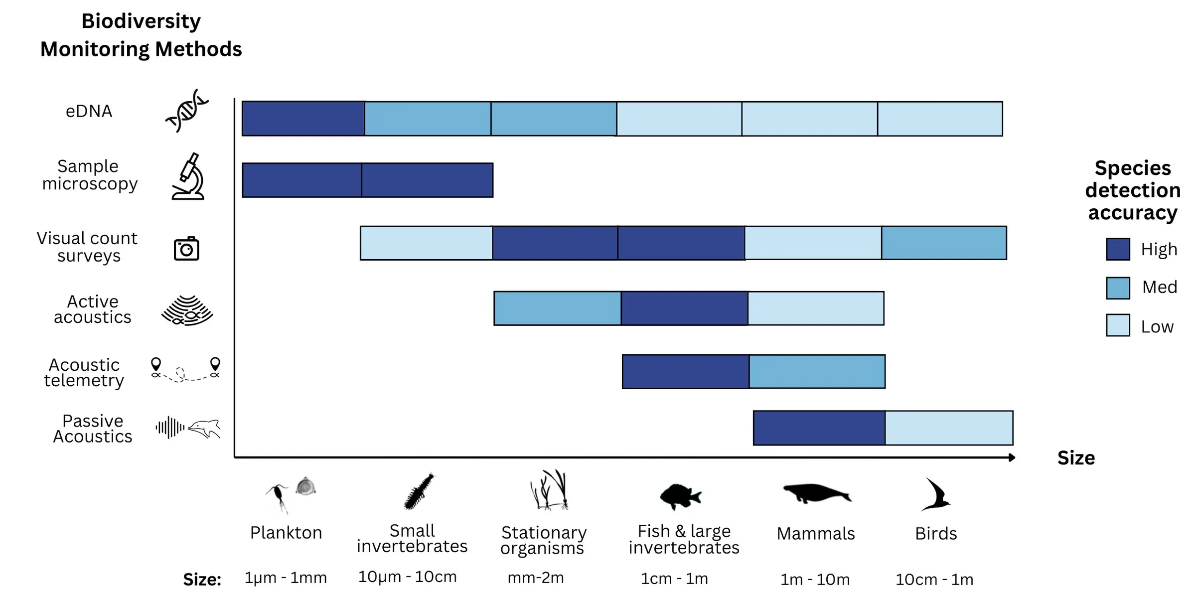 Overview of Non-Invasive Techniques Across Different Size Scales