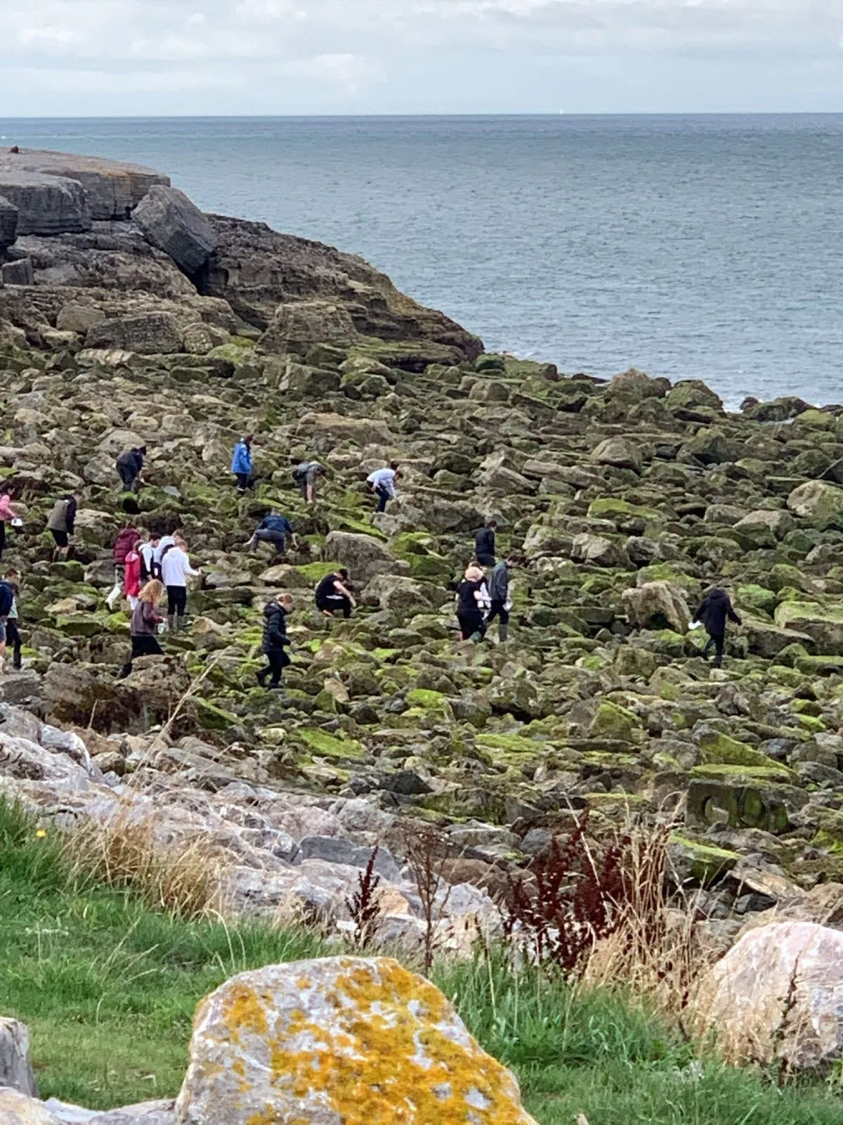 Seaweed Cultivation Workshop for University Students and Staff Sep. 2022