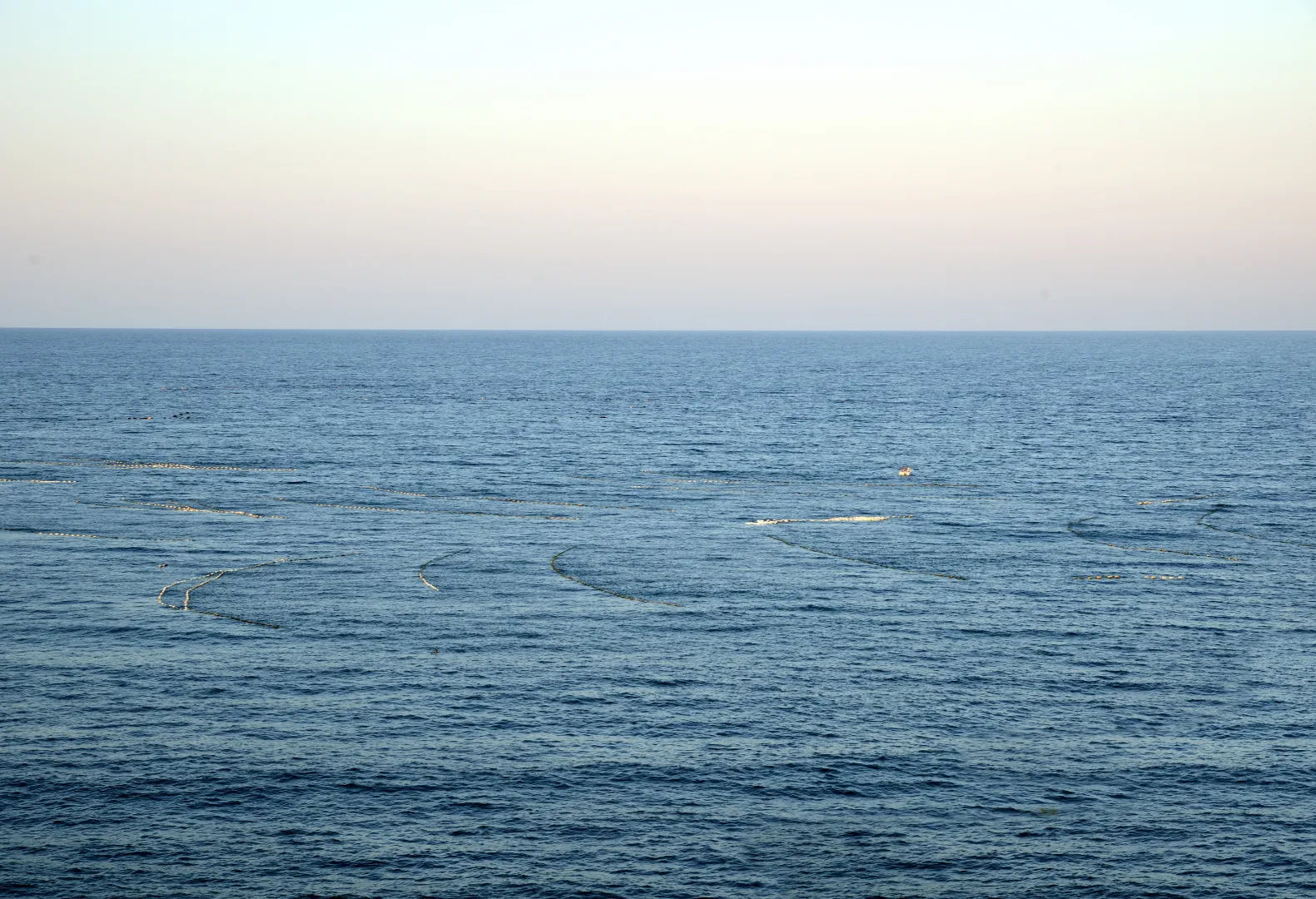 Calm sea with gentle waves, Seaweed grows between 1 to 4 meters below the sea surface on ropes. Ropes link buoys to form a seaweed farm structure that is anchored to the seabed below.