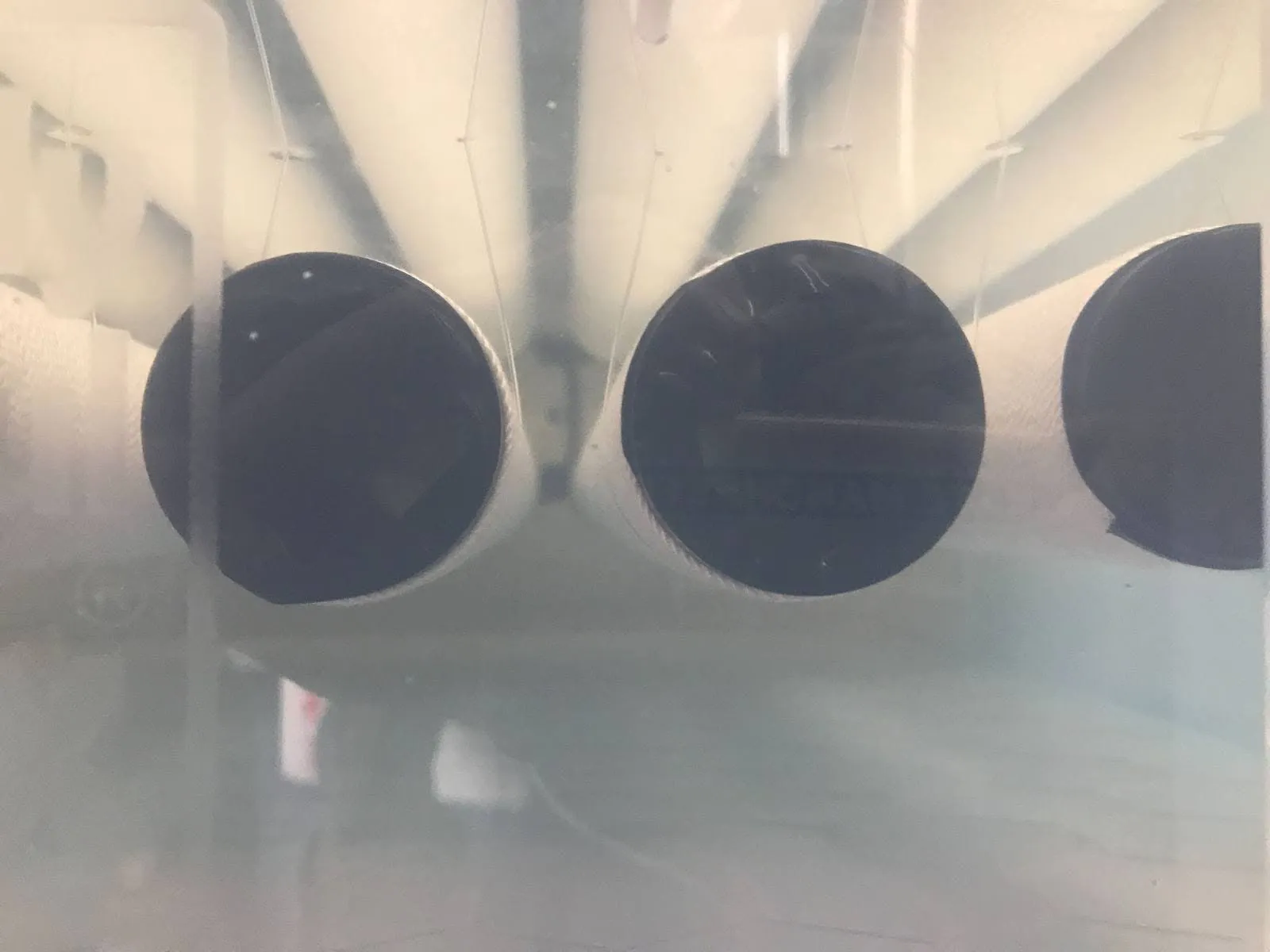 A series of temperature, light and nutrient controlled tanks circulate sterilised seawater...