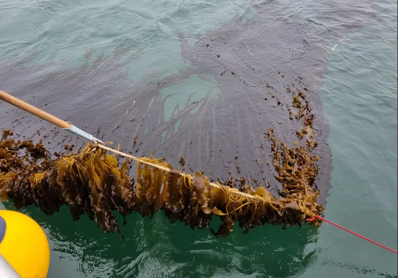 ...before being submerged at 2-3m depth.
