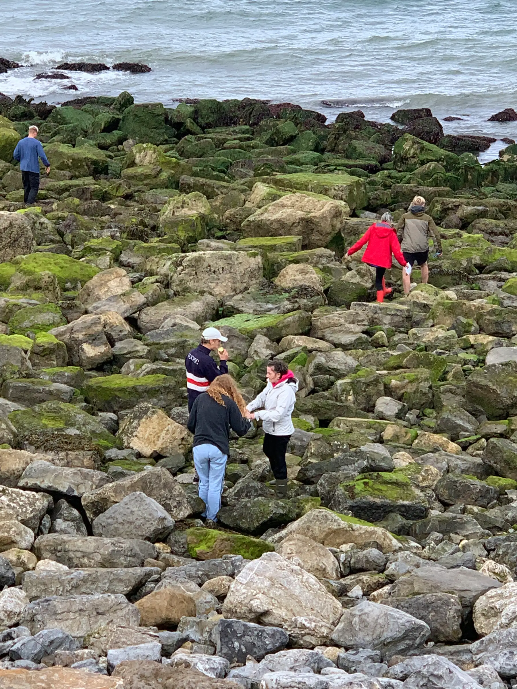 Participants on a rocky foreshore during a seaweed ecology walk
