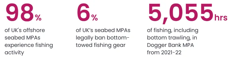 Marine Conservation Society, https://www.mcsuk.org/ocean-emergency/biodiversity/